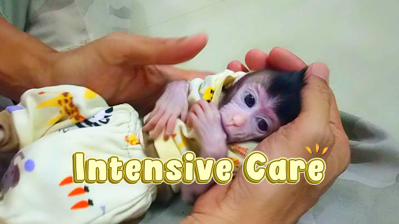 Intensive Care