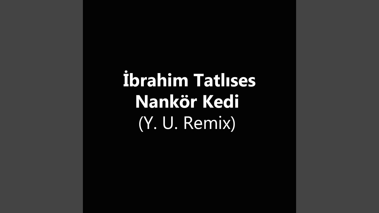 Nank&ouml;r Kedi (Y. U. Remix)