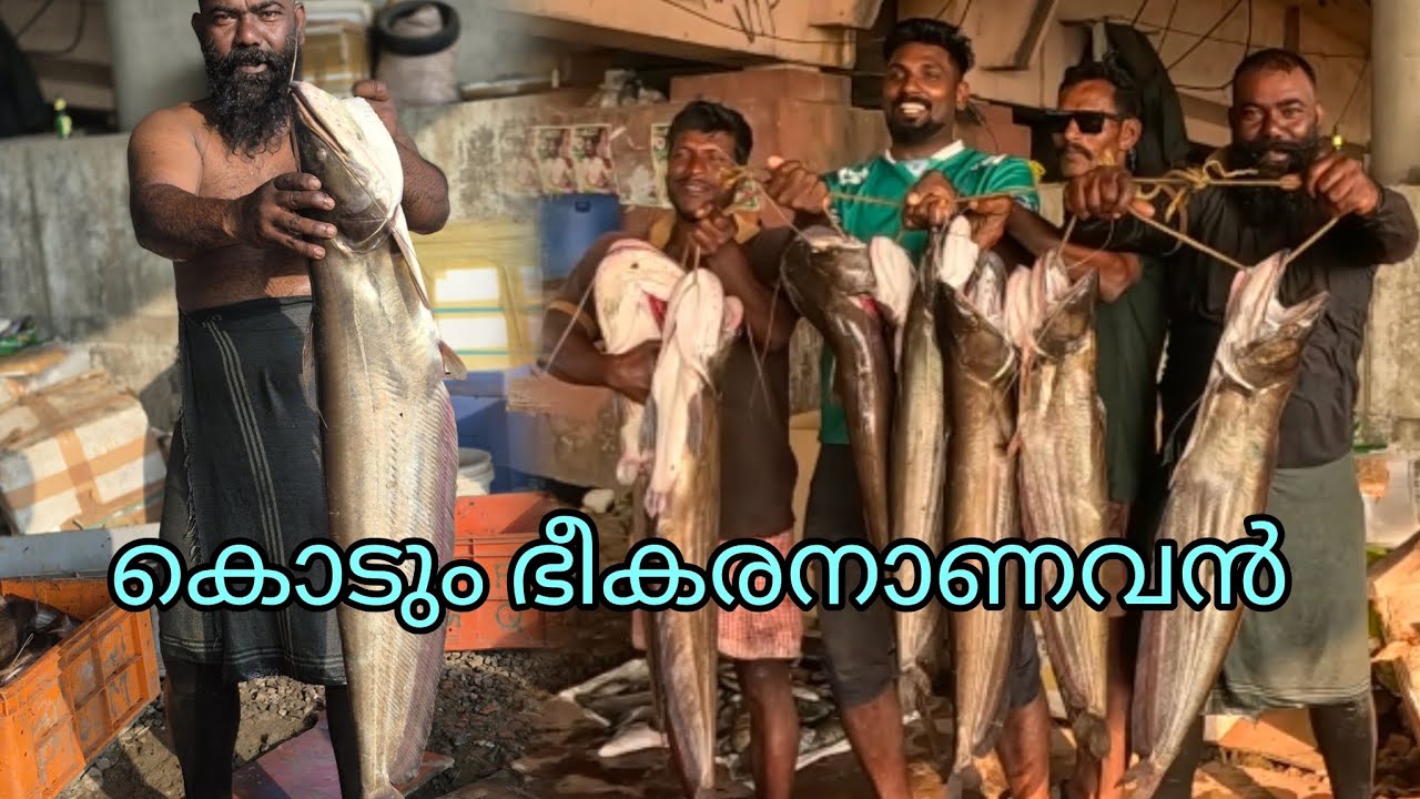 ഒരു ഭീകരനാണവൻ | FISHINGVLOG | #reallife #realfishing 