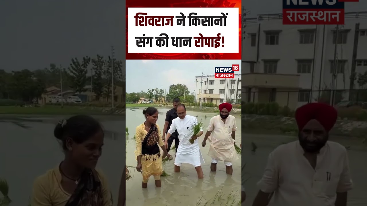 Shivraj Singh Chouhan Viral Video : शिवराज ने किसानों संग की धान रोपाई! | N18S | Farmer viral Video
