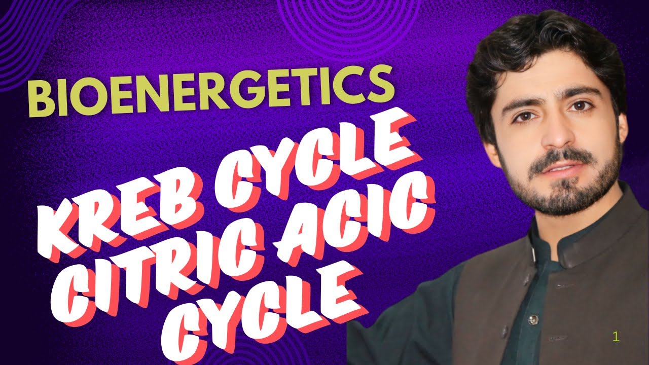 KREB CYCLE / CITRIC ACID CYLE @ MDCAT BIOLOGY #bioenergetics #krebscycle #citricacidcycle