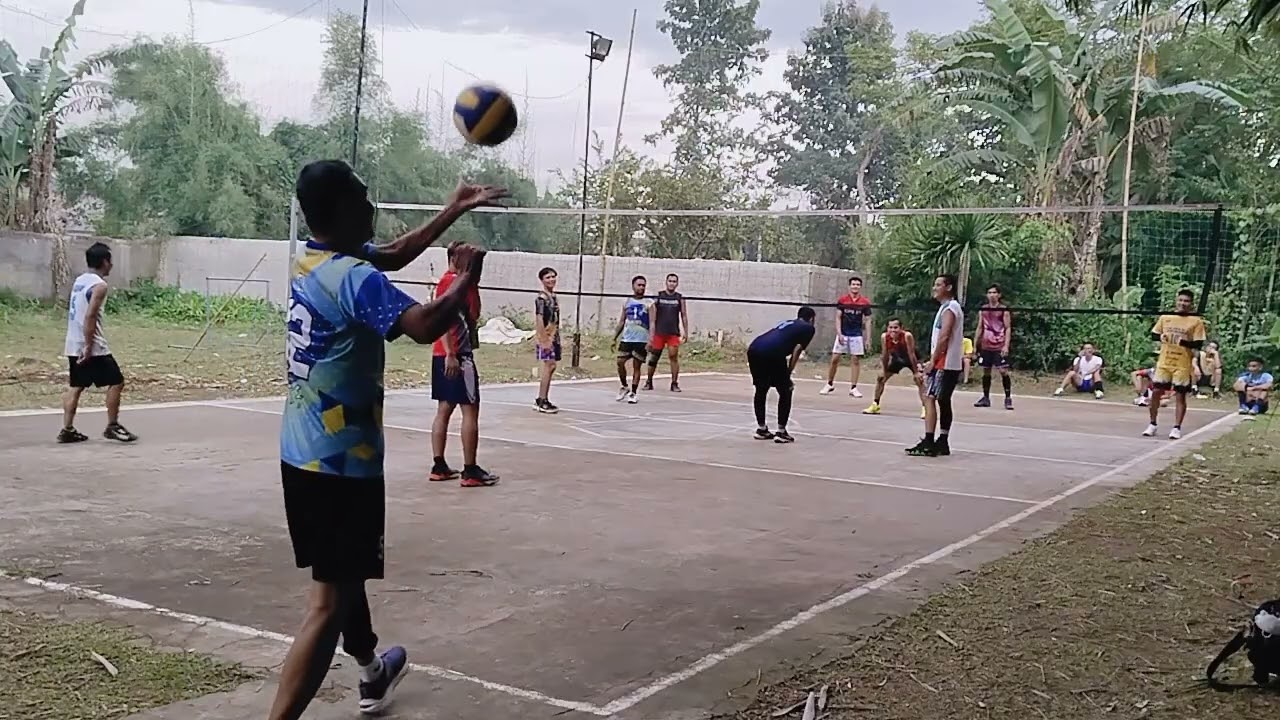 Liga kalivo
