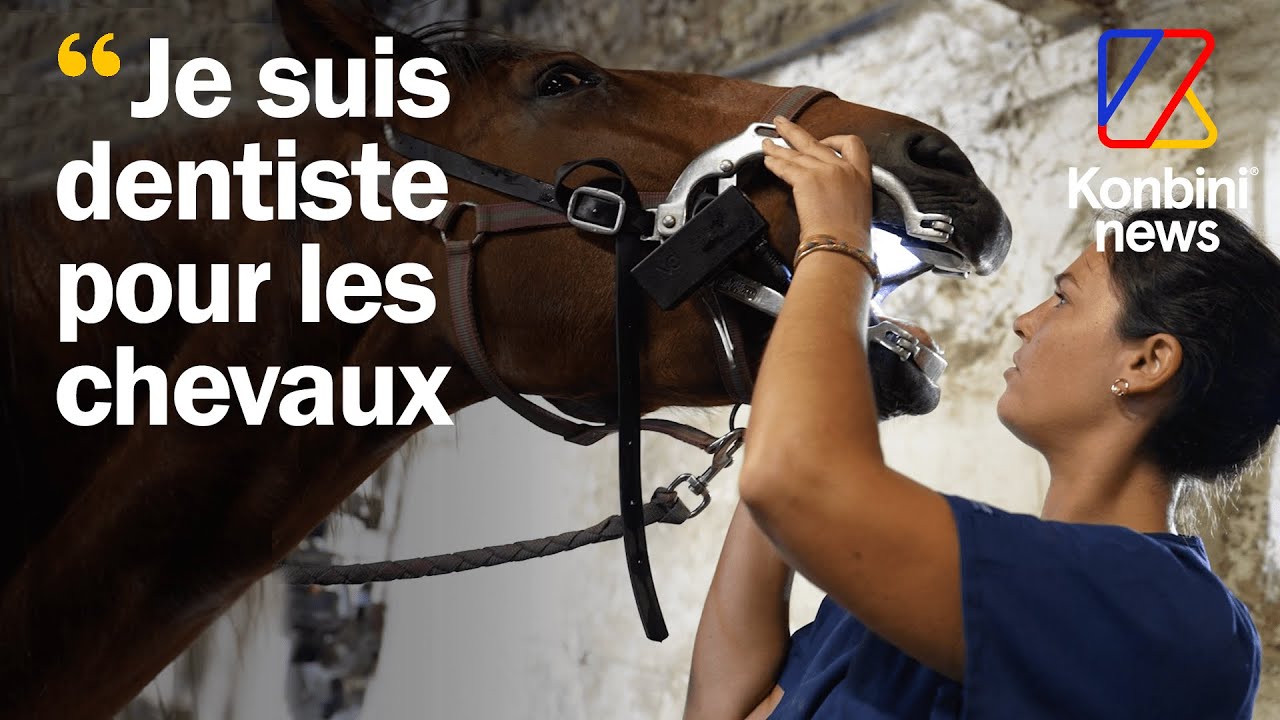 Dentiste pour chevaux : Comment Virginie est devenue technicienne dentaire équin 🐴