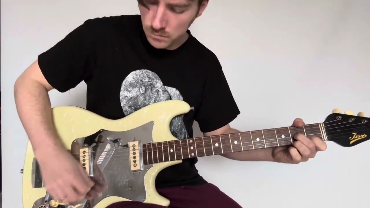 Isana Pearloid Vinyl Guitar 1960s Demo