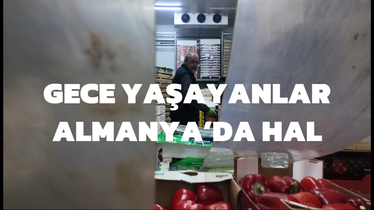 ALMANYA'DA TÜRKLERİN EN YOĞUN OLDUĞU SEKTÖRLERDEN MEYVE SEBZE HALİ