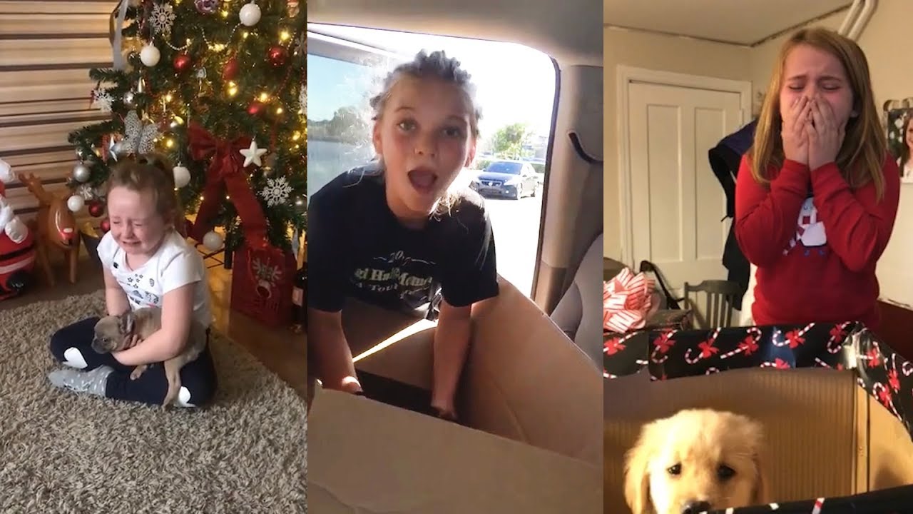 Best New Puppy Surprise For Kids | Try Not To Cry