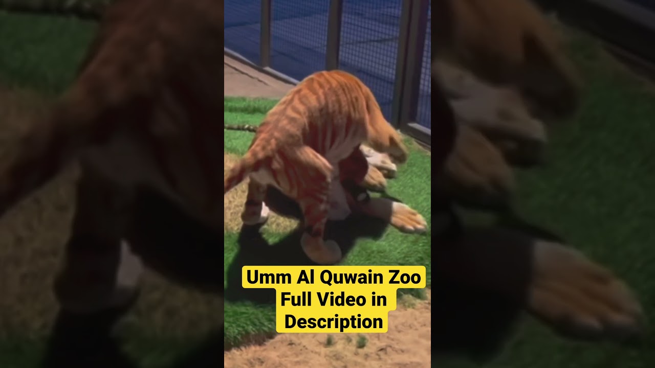 Umm Al Quwain Zoo #shorts #emirates #zoo #tamil #dubaizoo
