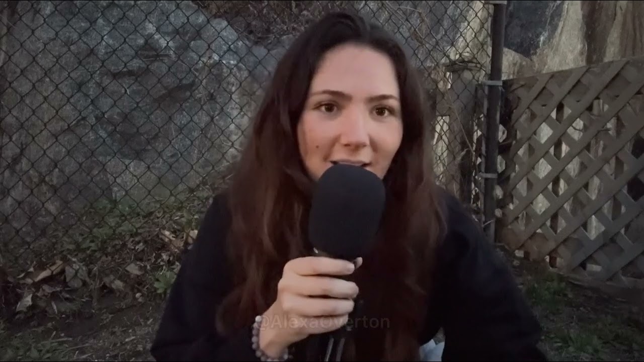 Manifestation Challenge Day 2