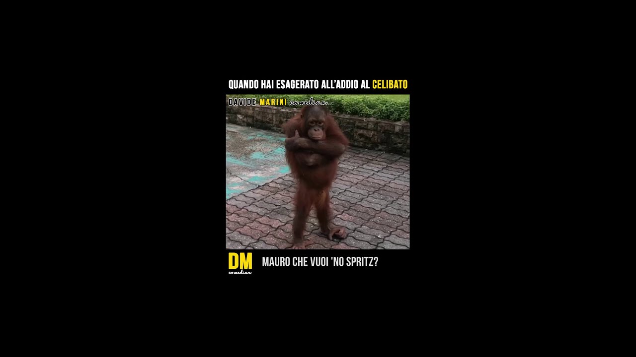 Quando hai esagerato all'addio al celibato