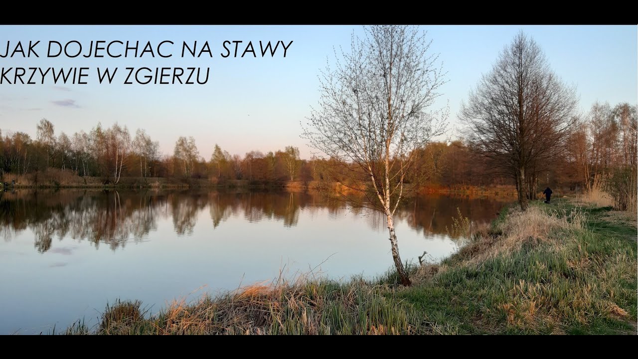 Droga na stawy Krzywie PZW Mazowieckie z Łodzi