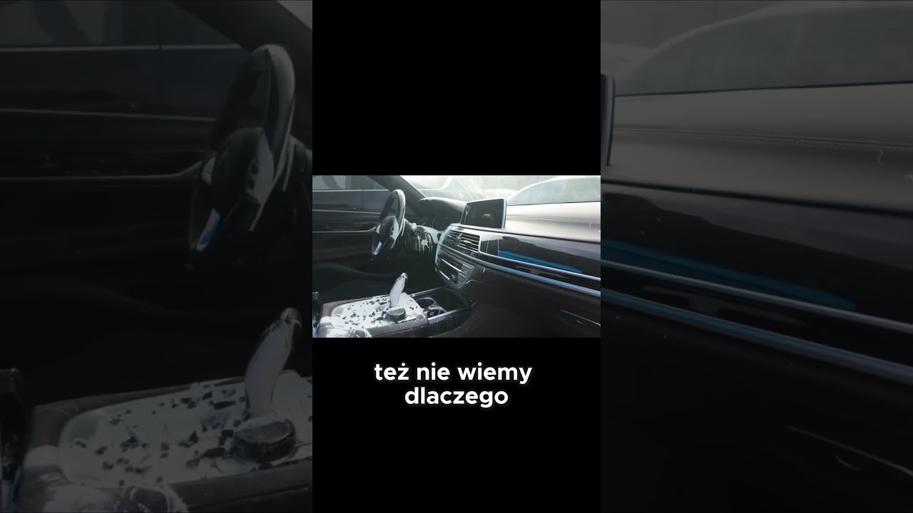 Oględziny BMW 7 740i G11 z USA po Akcie Wandalizmu