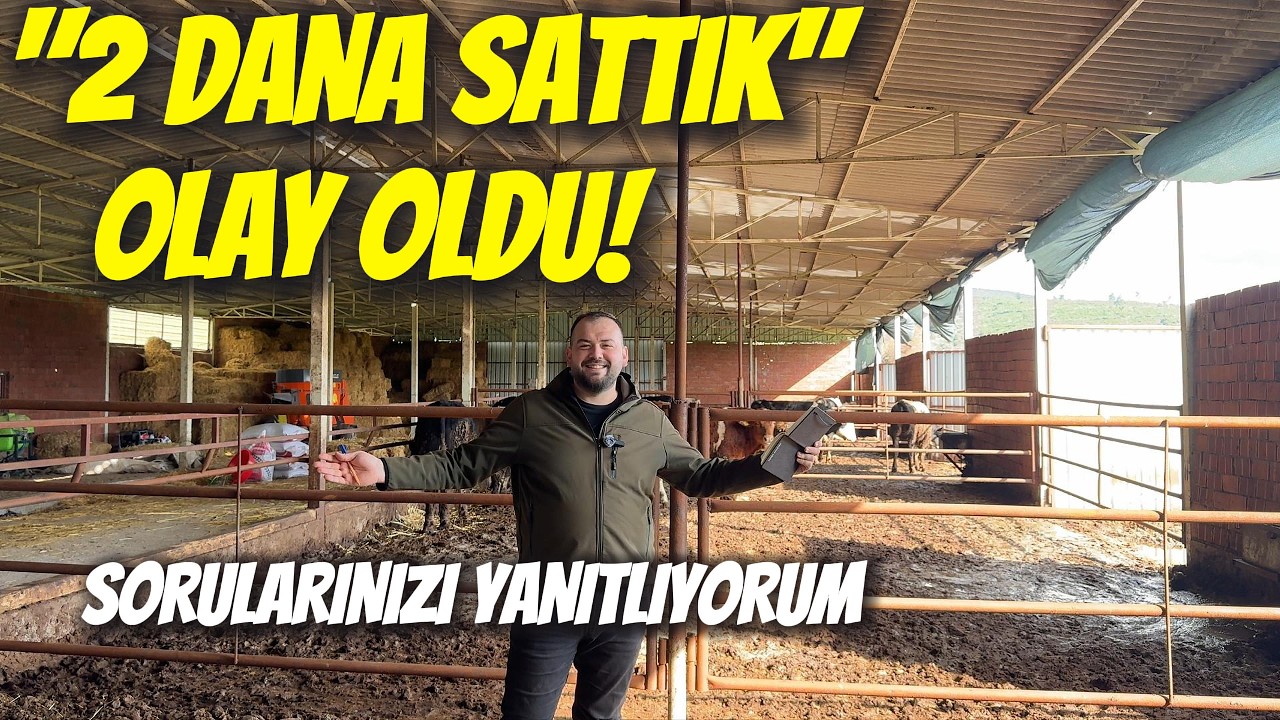 2 Dana Satışı Olay Oldu | Tüm Sorulara Net Cevap