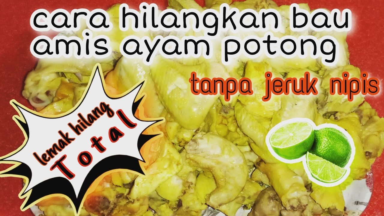 Tips menghilangkan bau amis ayam |Tips menghilangkan bau amis ayam..amis dan lemak hilang total