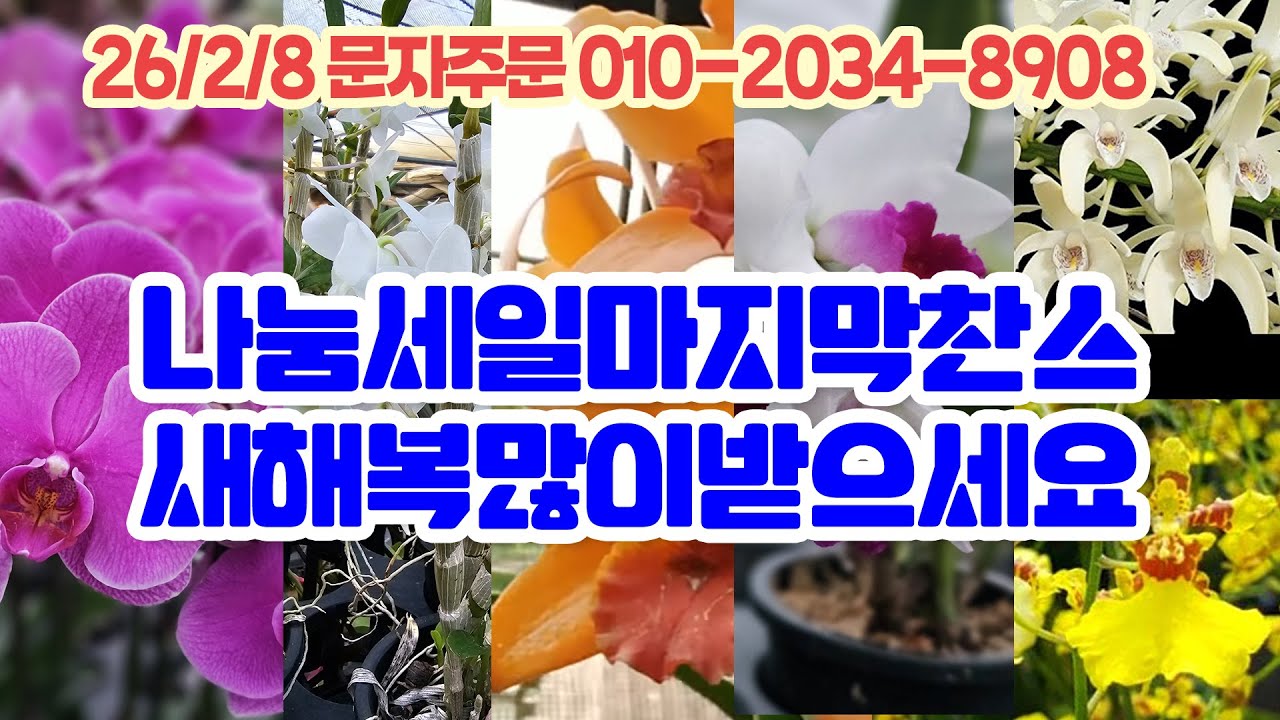 2월8일 판매방송 설연휴 특별세일 마지막 찬스 나눔 하세요 대명석곡 최저가