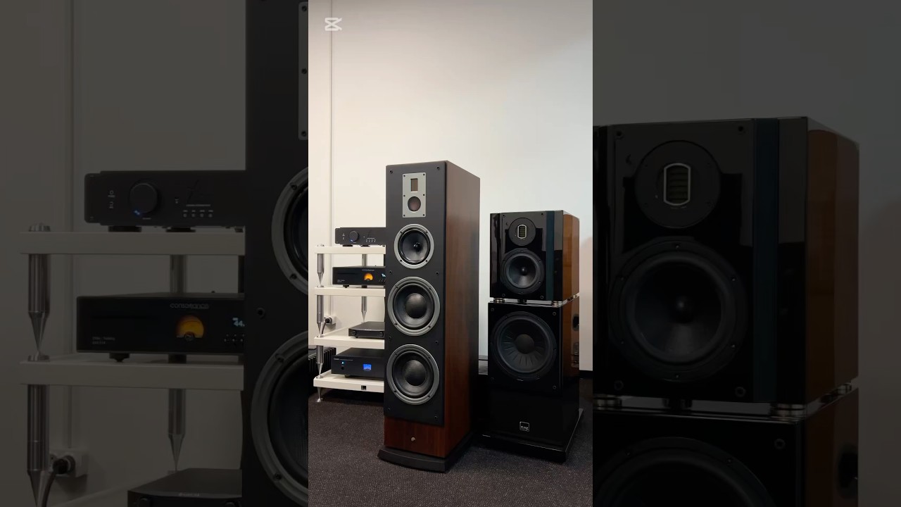 Ещё не слышал как звучит настоящая стерео система? 🔊 #акустика #стереосистема #колонки