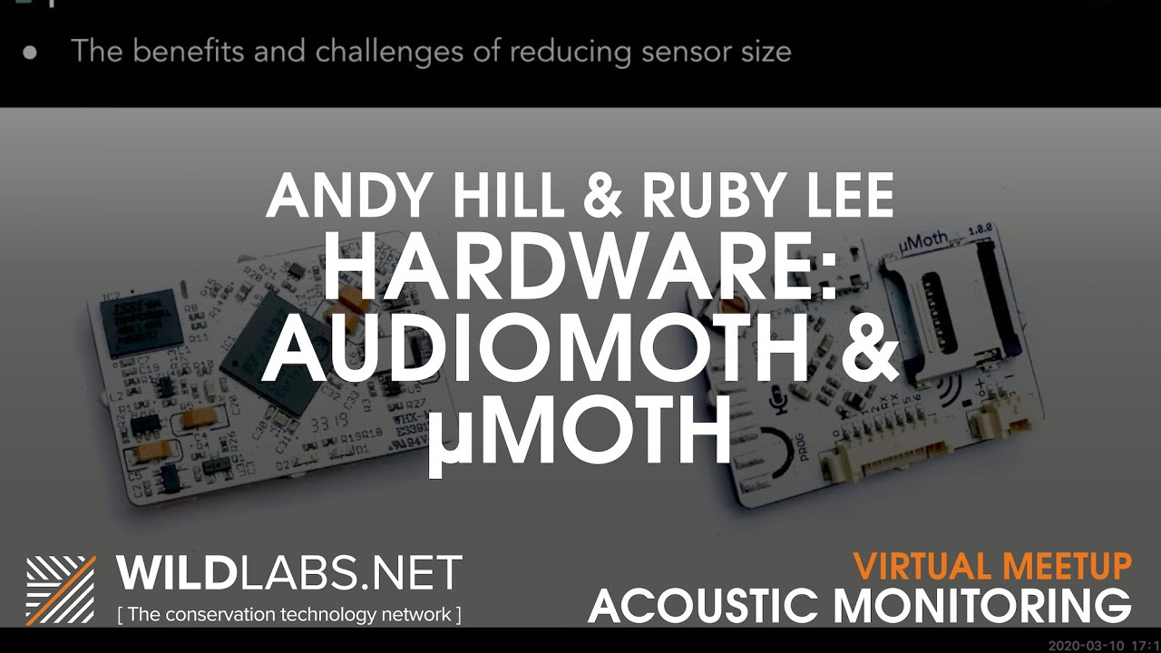 Andy Hill and Ruby Lee: Audiomoth and μMoth