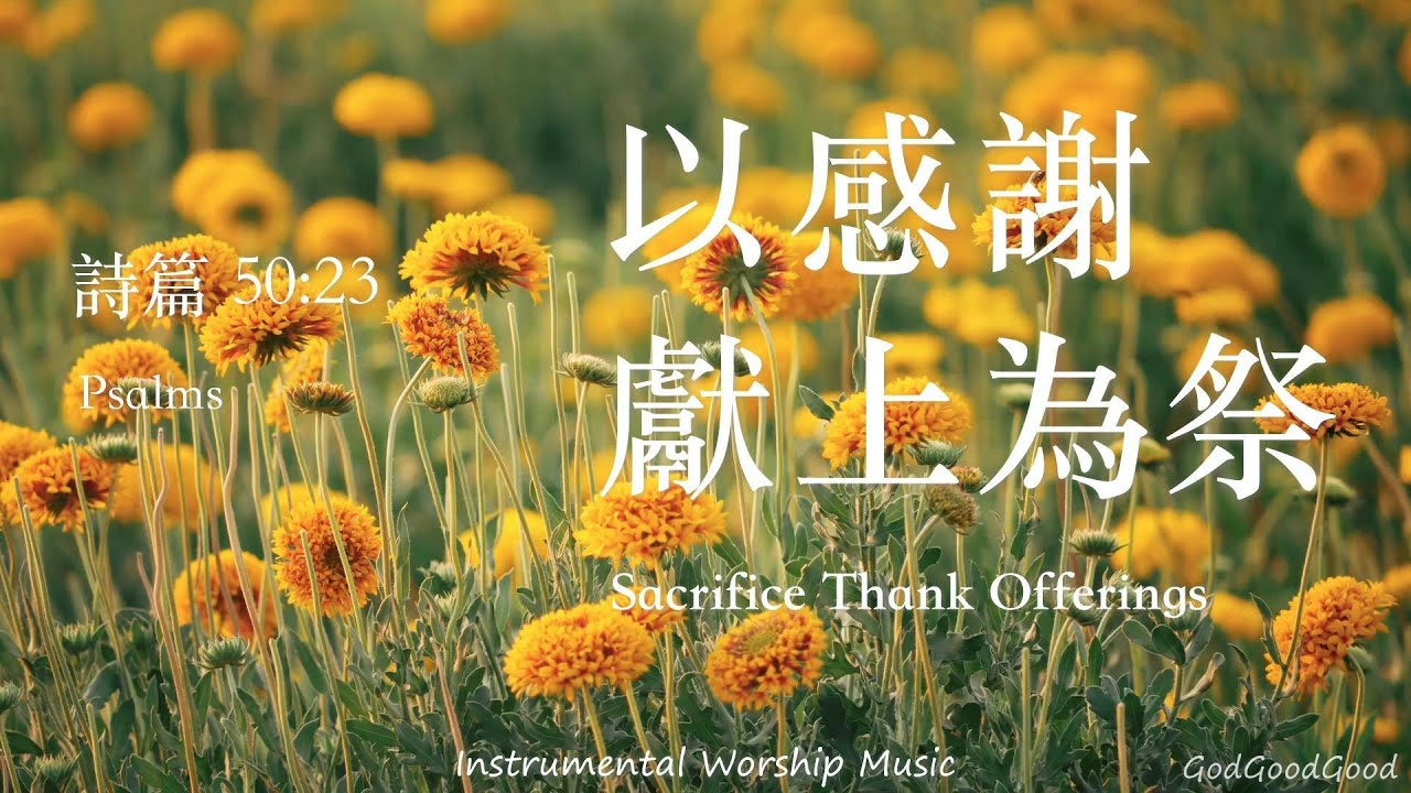 【詩篇50:23】以感謝獻上為祭｜等候神音樂｜Instrumental Soaking Music｜靈修禱告音樂｜Piano｜ピアノ賛美｜ソーキング音楽｜Psalms｜BGM｜輕音樂