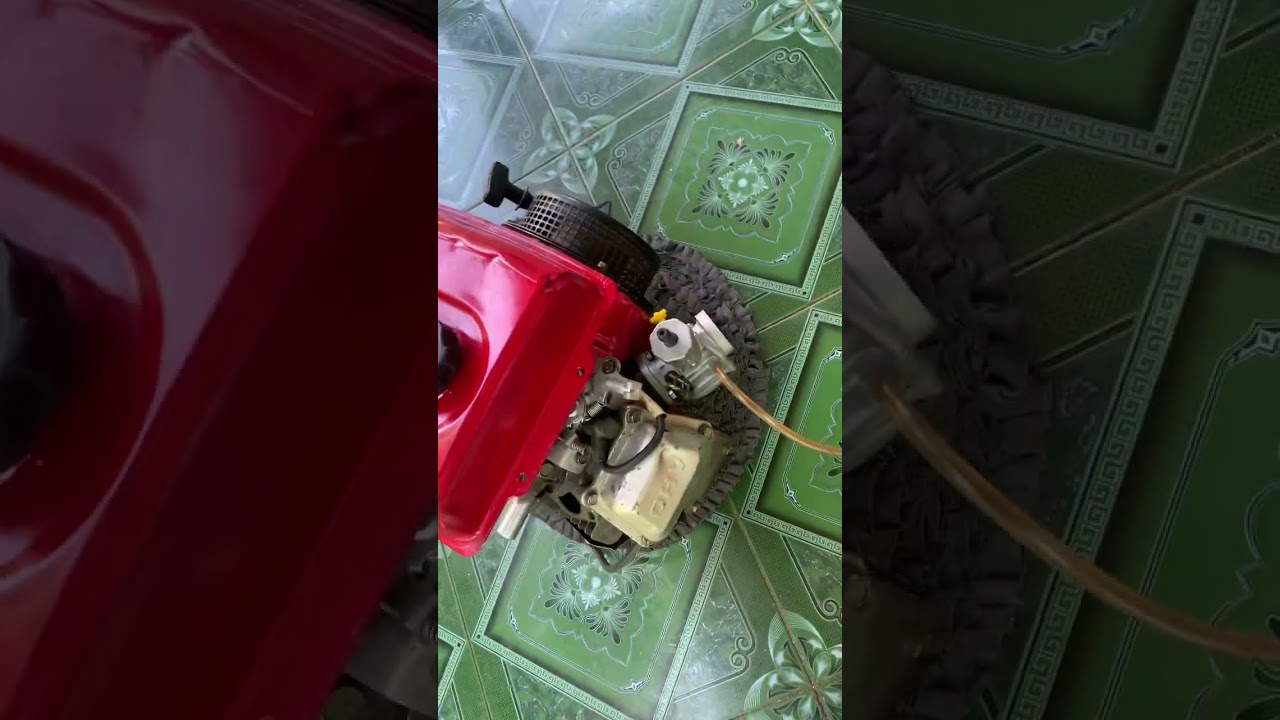 Tes bình bông mai giao khách. Bán bình bông mai 6hp đến 13hp giá 450k lh 0907206078