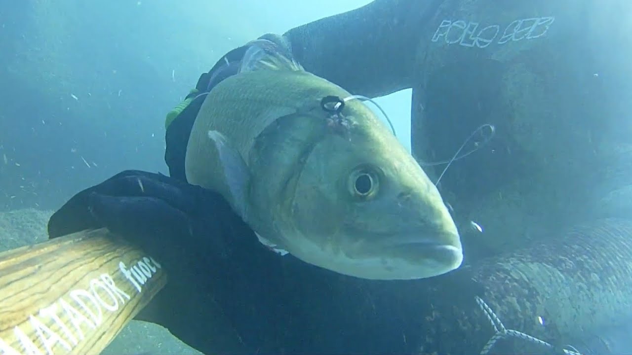 PESCASUB: SPIGOLE ALL'ASPETTO..VENERDI 17 GENNAIO.