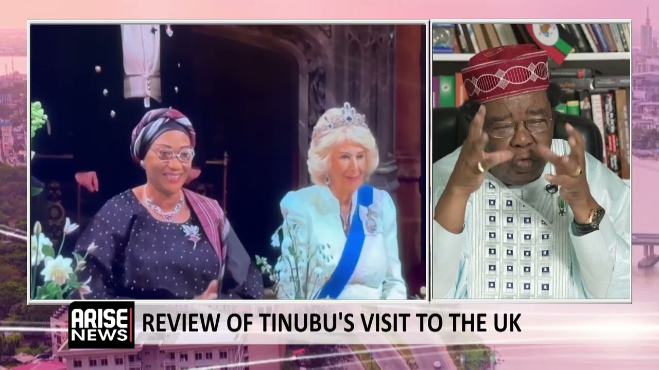 UK State Visit Magnificently Put On, Tinubu Right Not To Cancel Despite Maiduguri Attack - Akinyemi