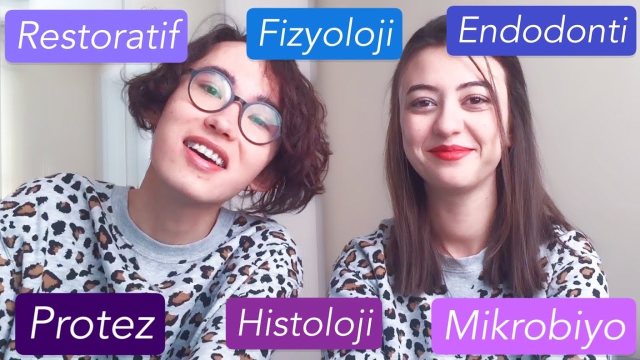 Diş Hekimliği Fakültesi 2.Sınıf Dersleri İnceleme ve Tavsiyeler | Diş Hekimliği Fakültesi