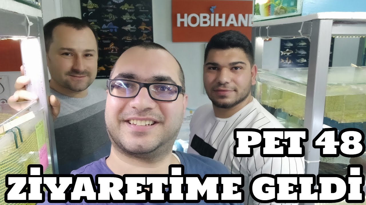 Gezenti Vlog #72 (Pet48 Ziyaretime Geldi)