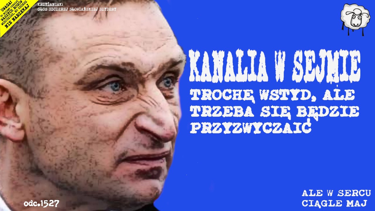 KANALIA W SEJMIE, czyli Krzyżaniak: Głos Szczerej Słowiańskiej Szydery (odc. 1527)