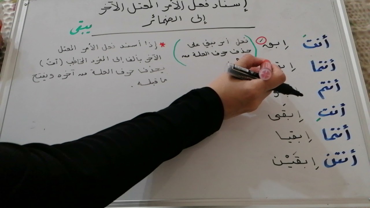 إسناد فعل الأمر المعتل الآخر إلى ضمائر { الصف التاسع }