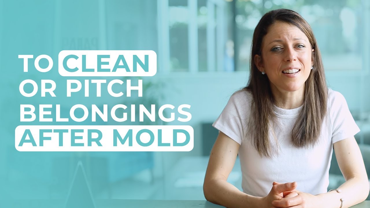 To Clean or Pitch Belongings After Mold?