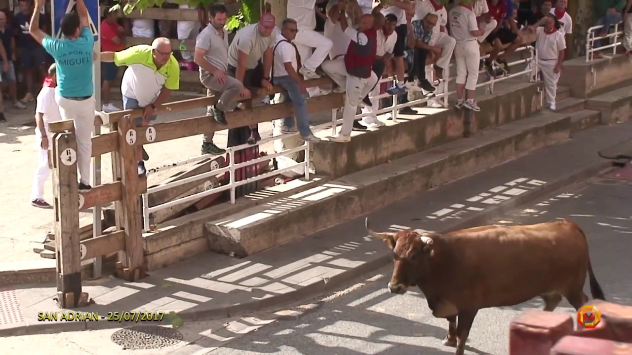 Tv San Adrian - 25/07/2017 - Suelta de reses bravas