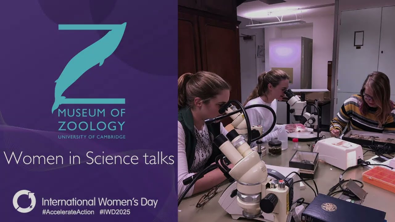 Mechanisms Underlying Evolutionary Change - Lake Malawi Cichlid Fish