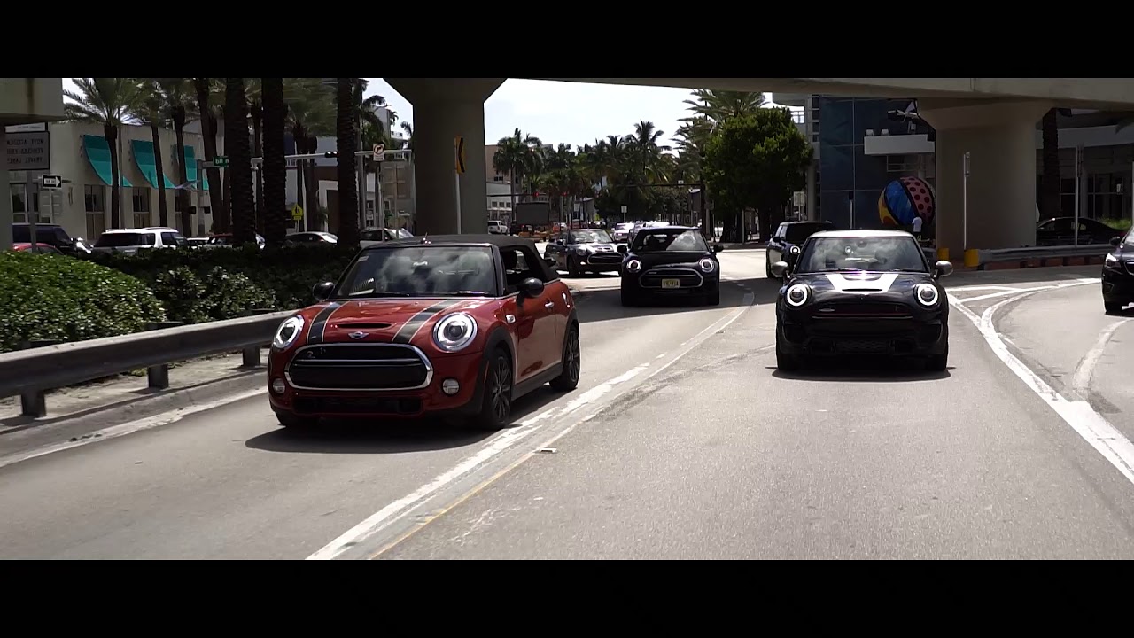 Braman MINI of Miami Paws & Coffee Event