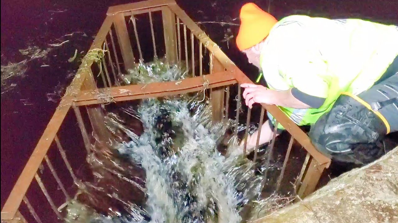 Removing Huge Clog On The Trash Rack In Angry Beavers Swamp