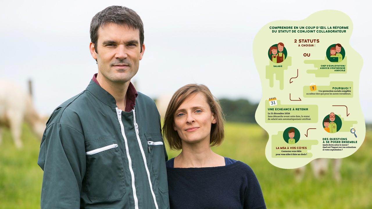 La réforme du statut de collaborateur d'exploitation ou d'entreprise agricole