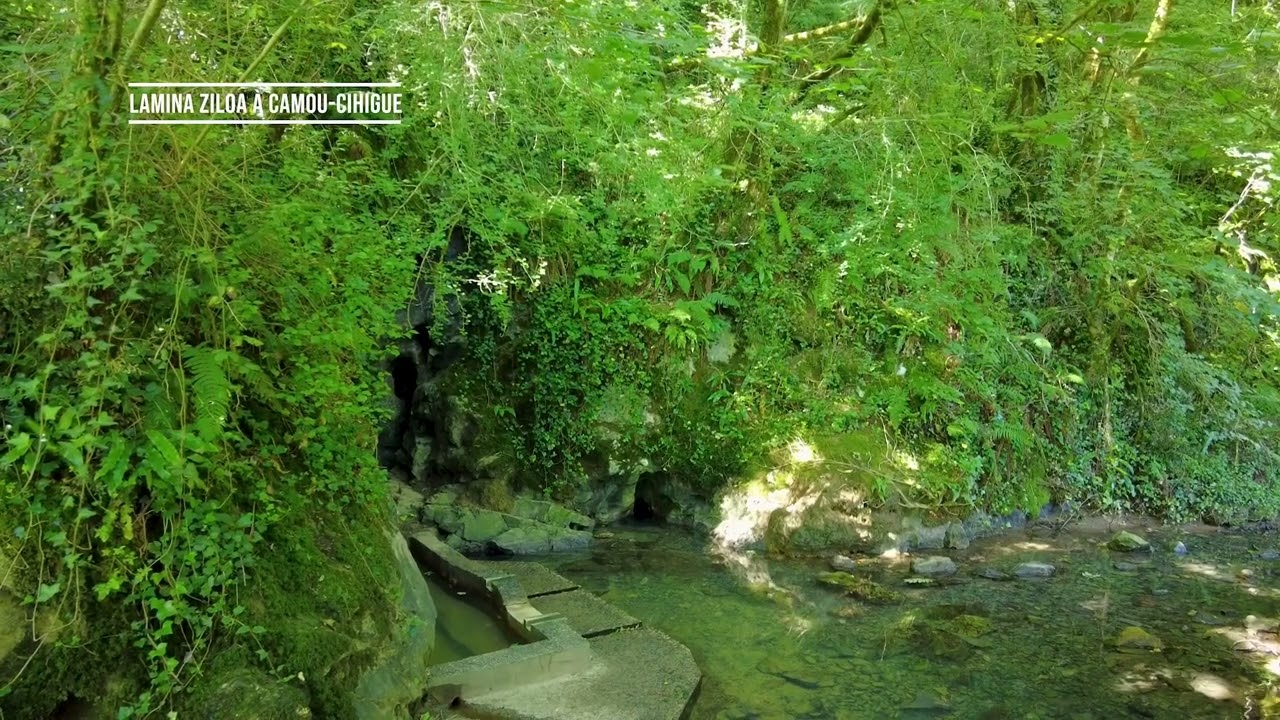 Lamina Ziloa à Camou Cihigue