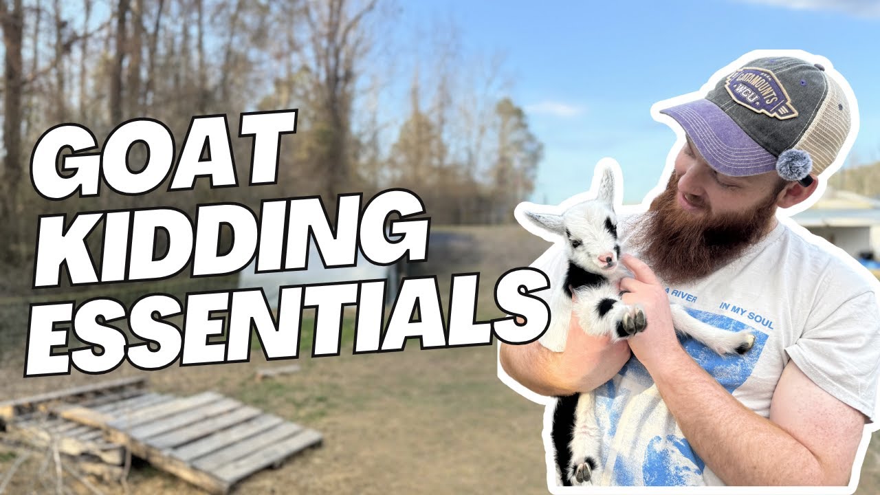 First Time Kidding: What&rsquo;s in Our Goat Emergency Bag?