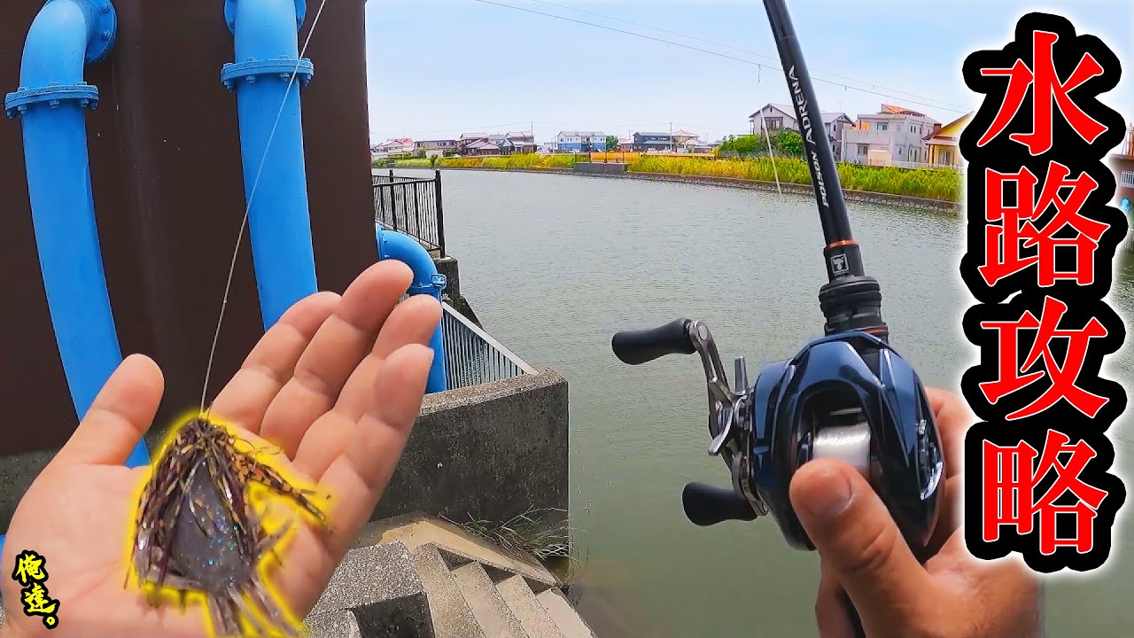 ６月のクリークはこのルアーが釣れる！【梅雨】