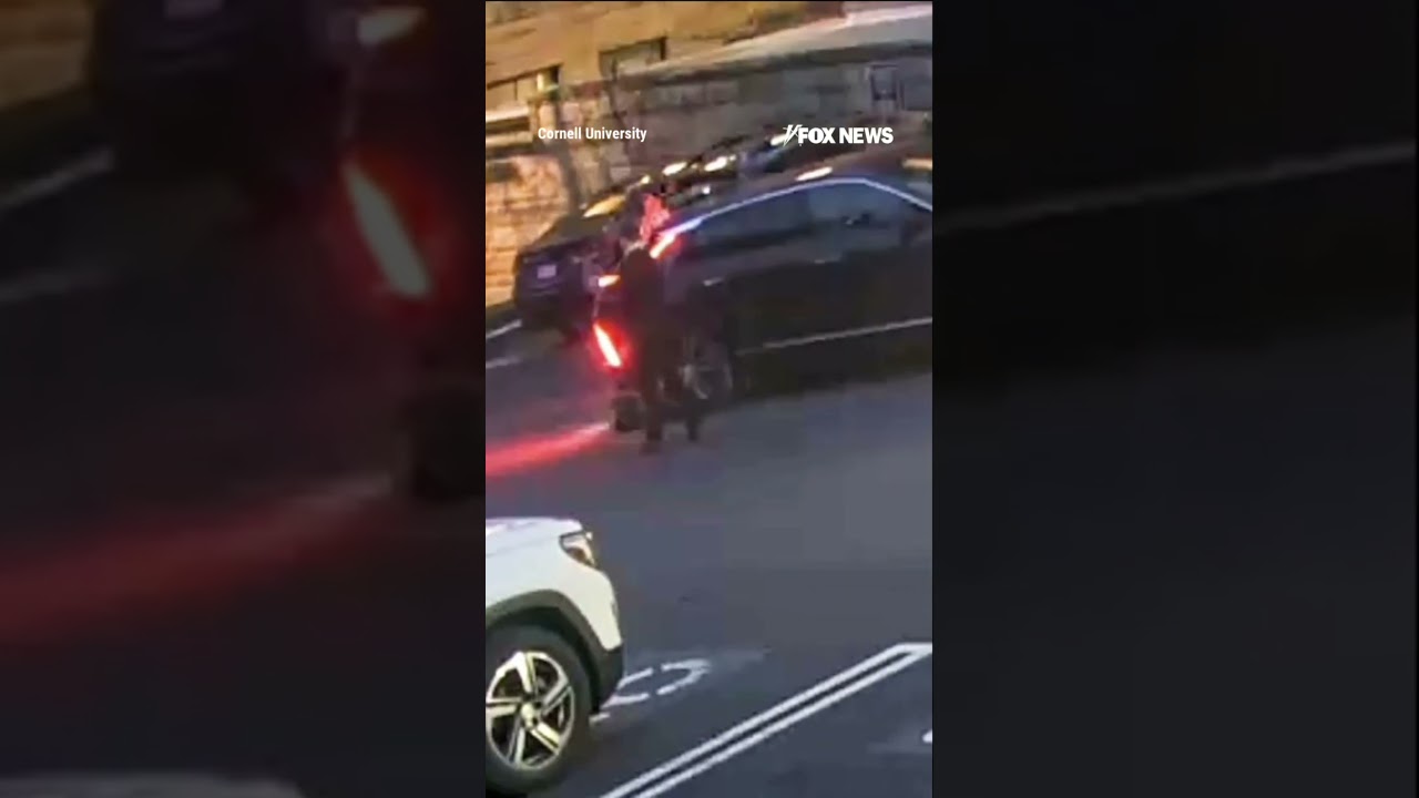 SEE IT: College president accused of backing into students with car #foxnews #news #us #fox