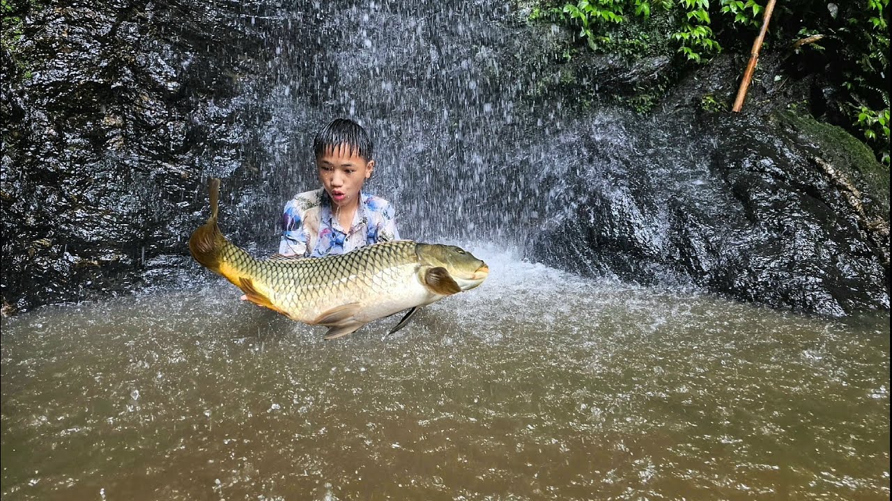 Nam walked along the small stream to pick bamboo shoots and caught 5 big carps to sell