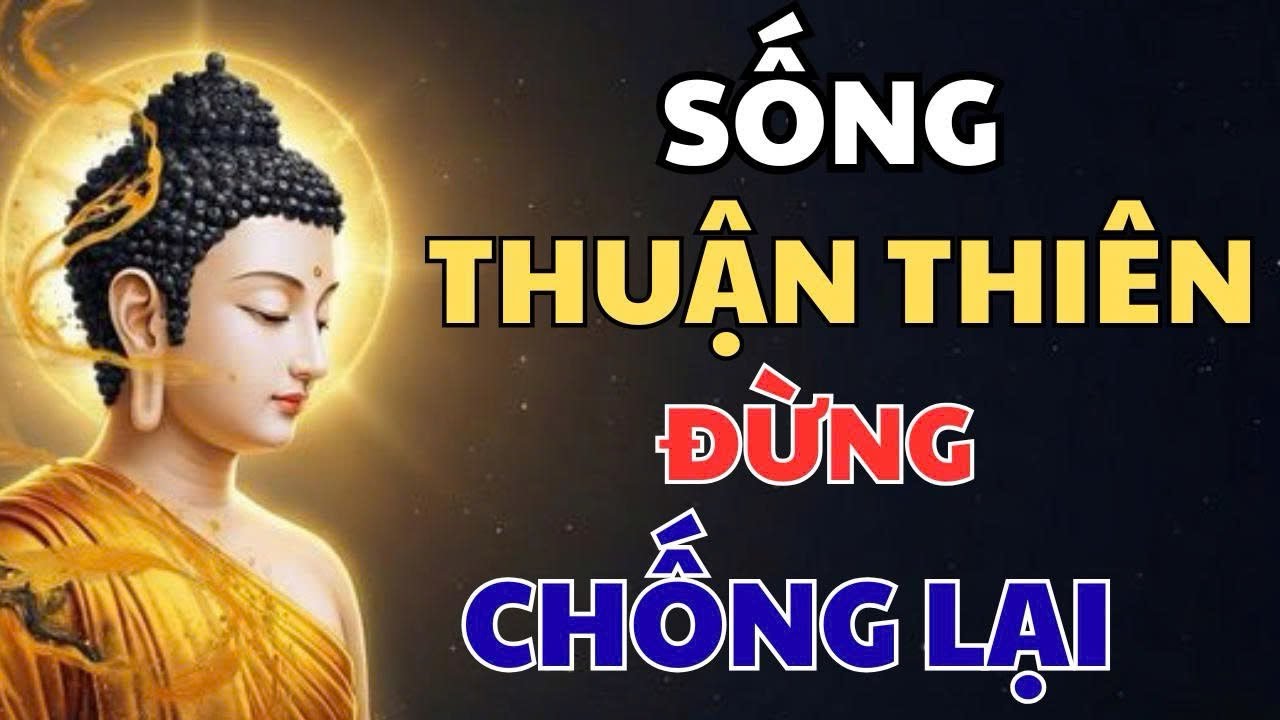 Muốn 'Đức Năng Thắng Số' Phải Biết Sống Thuận Thiên - Bí Quyết Của Người Xưa Để Đời Hết Khổ