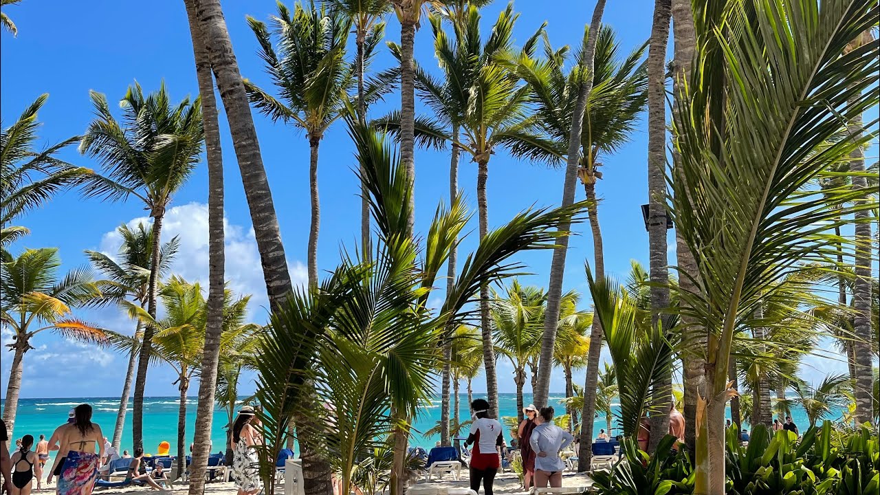Доминикана февраль 2022,за неделю до закрытия границ.Отель RIU palace Punta Cana.