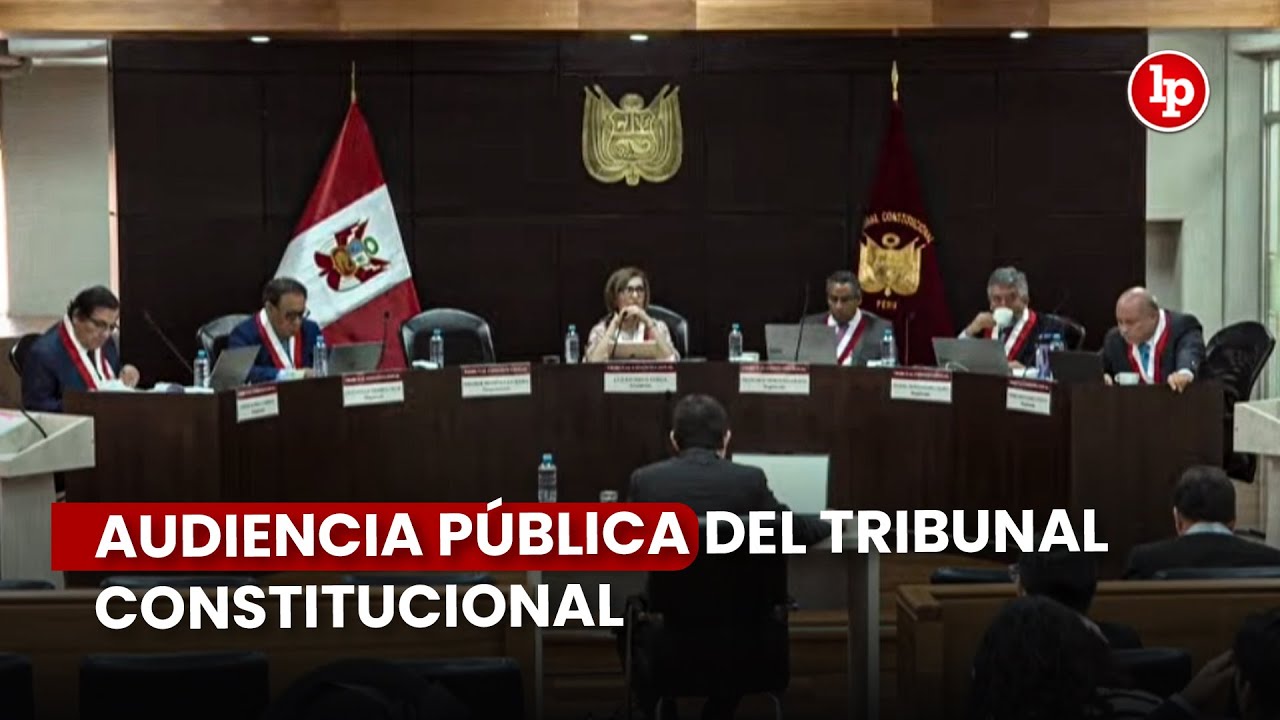Audiencia pública del Tribunal Constitucional