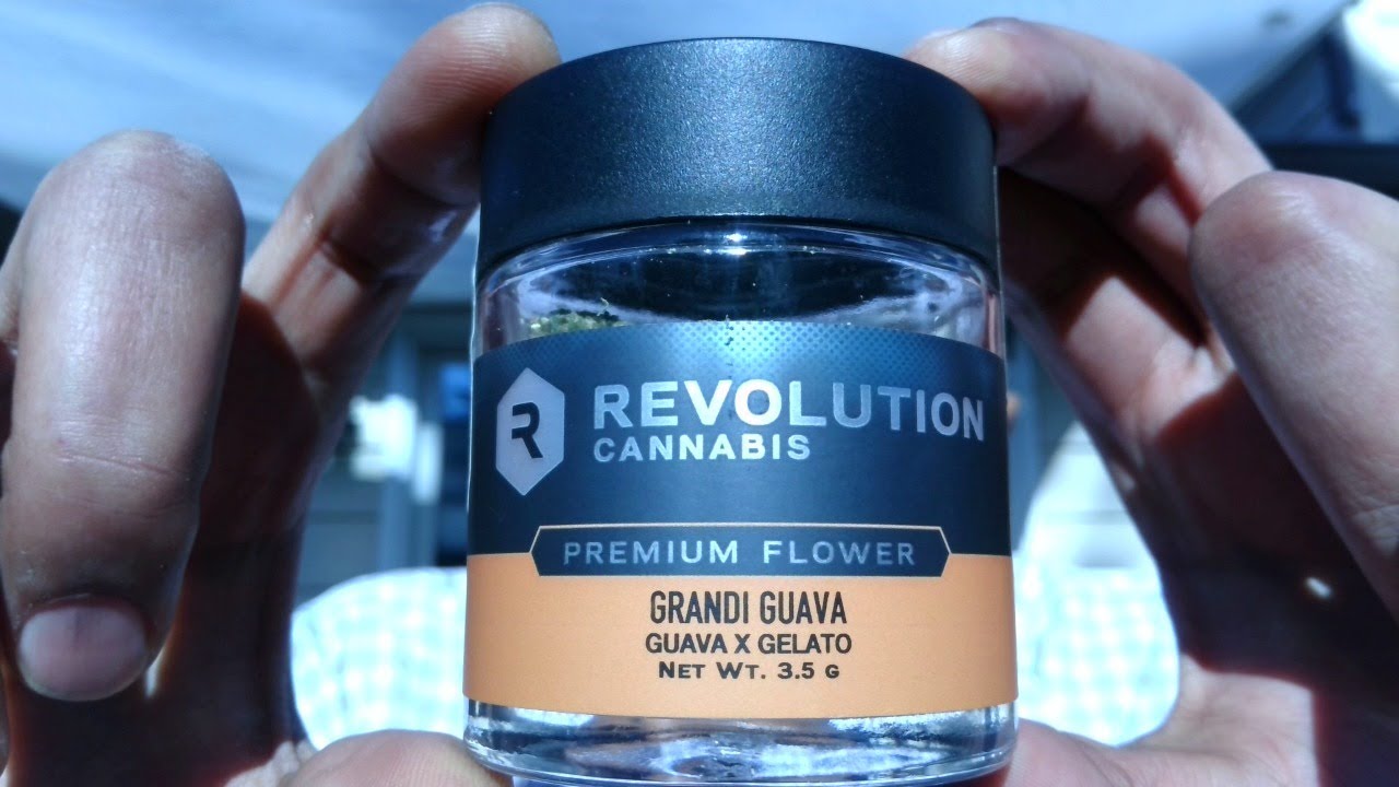 Strain Review: GRANDI GUAVA By REVOLUTION (CHICAGOLAND)