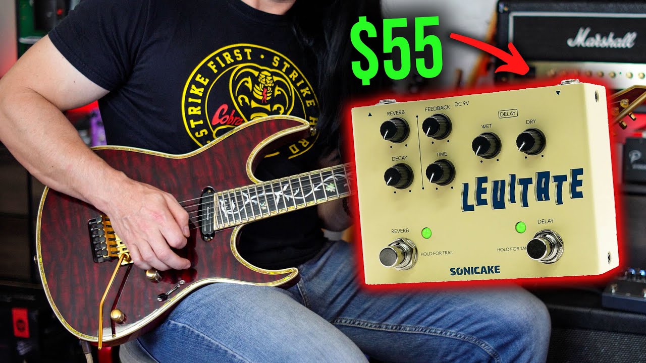 DELAY & REVERB - 2 FOR 1 Pedal Gives You Instant Guitar Atmosphere