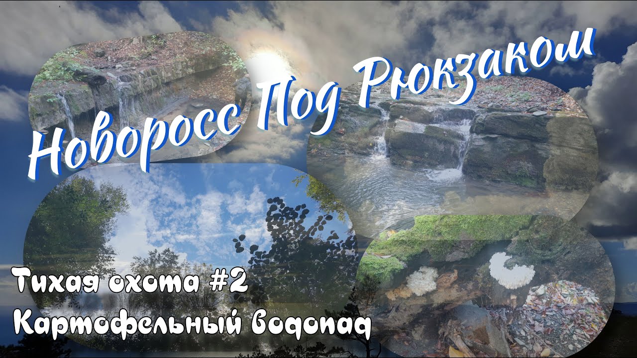 Тихая охота #2 Картофельные водопады Провожающий Котик