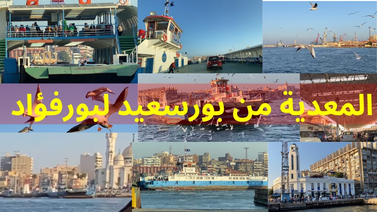 تجربه المعديه من بورسعيد لبورفؤاد وظهور طائر النورس حوالينا والجامع|| بورسعيد دى ولا تركيا ياجدعان ؟
