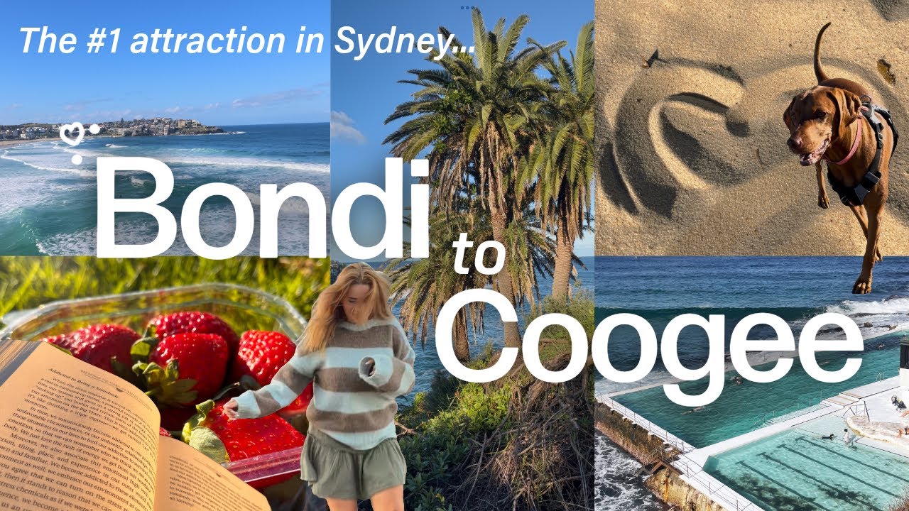 SYDNEY VLOG 🌺✨🌊| Bondi to Coogee walk, Vivid festival, solo in Australia
