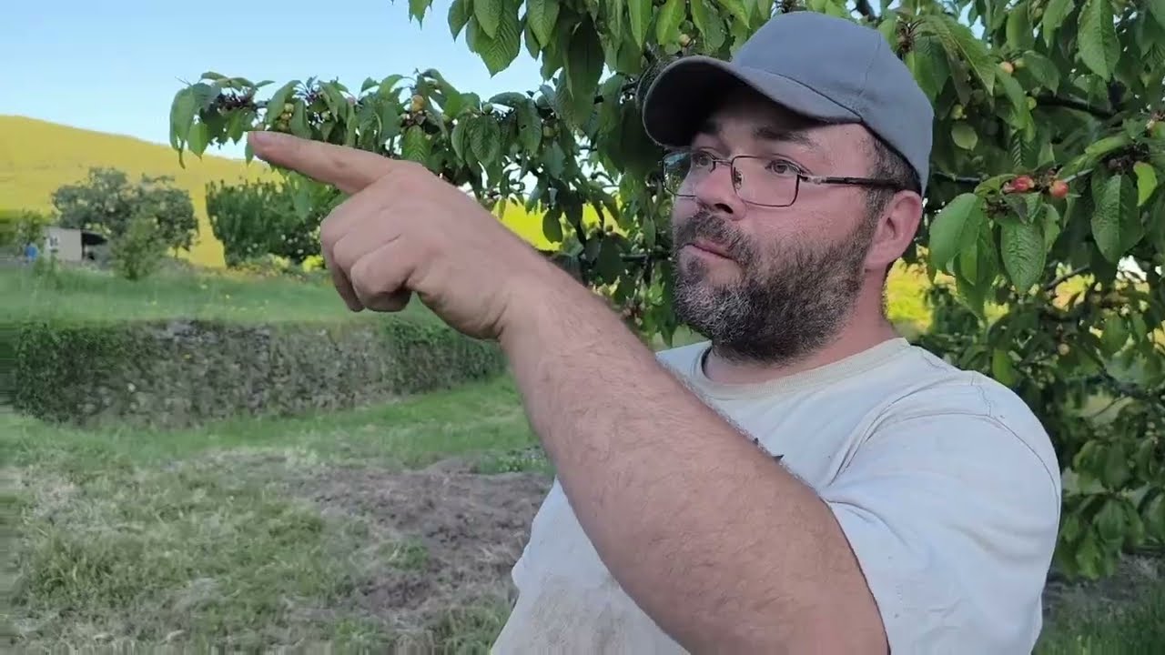 Buen JACE de PLANTAS para el HUERTO