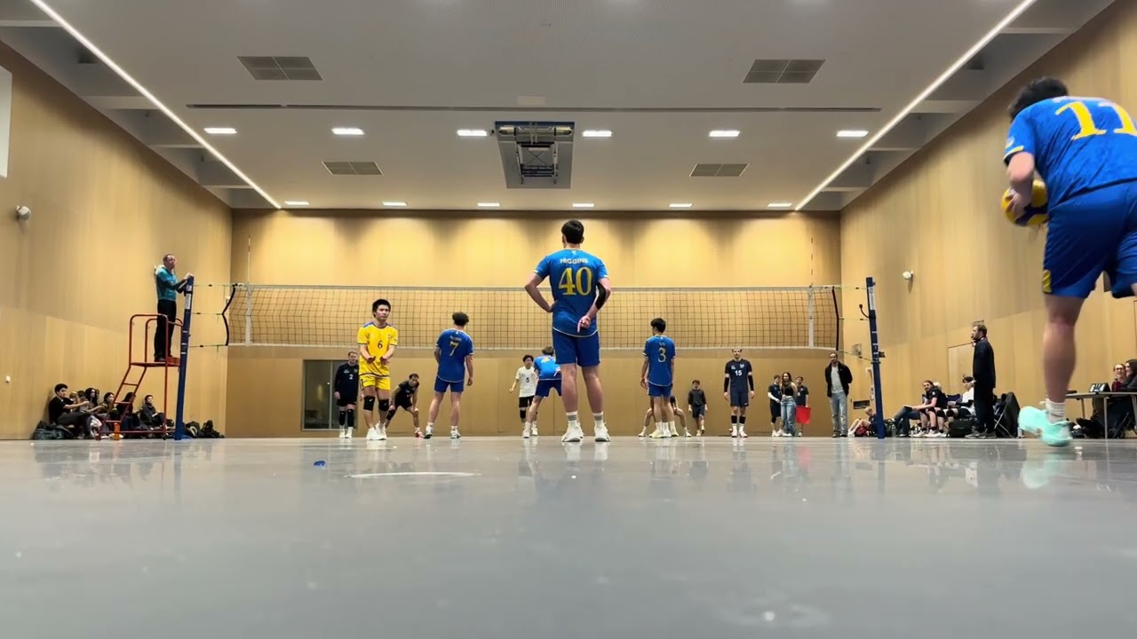 Set 3 (cut)