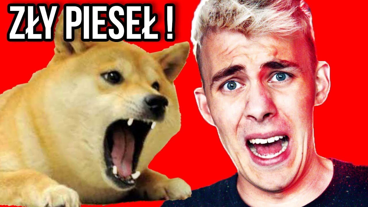 PIESEŁ UGRYZŁ BLOWKA !